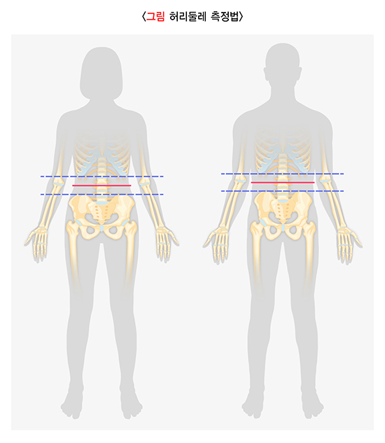 허리둘레 측정법