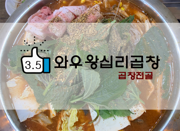  시원한 곱창전골 와우왕십리곱창