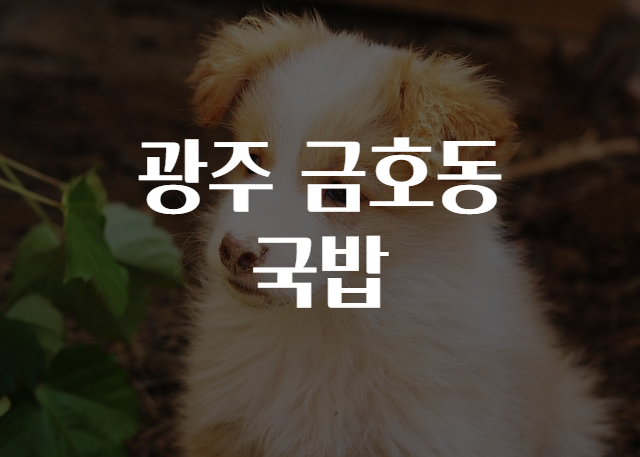 금호동 이미지