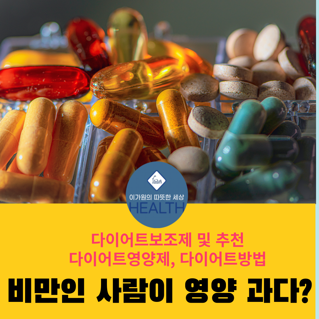  다이어트보조제 및 추천,다이어트영양제와 다이어트방법