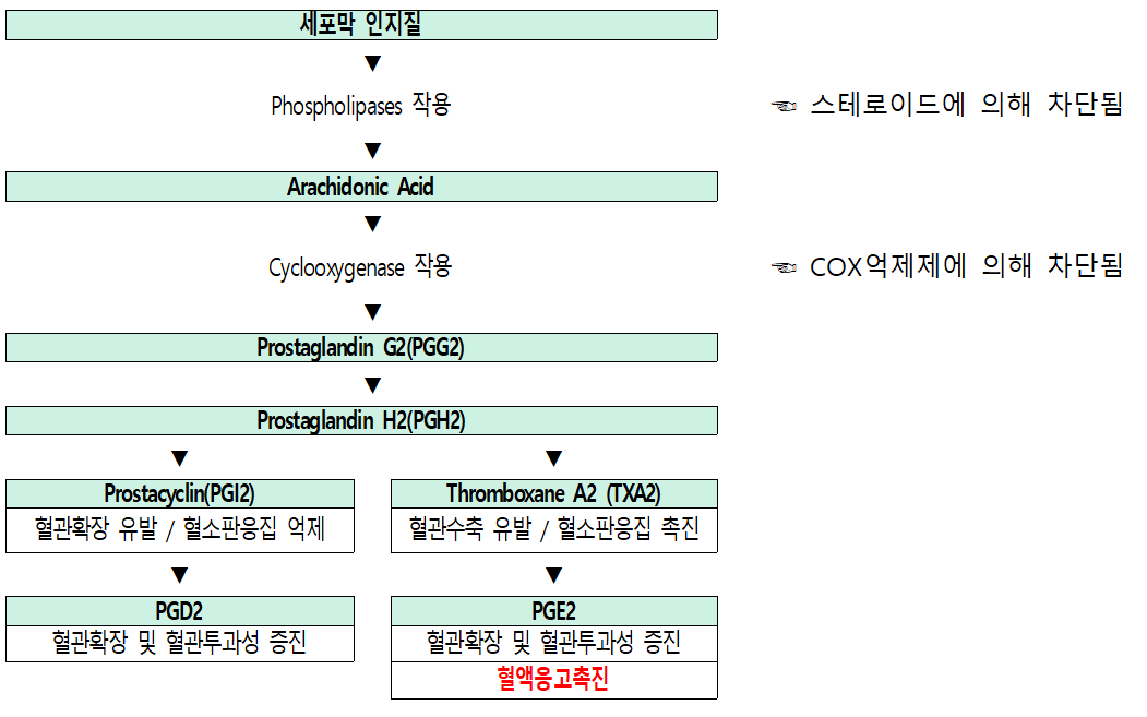 COX의 작용부위