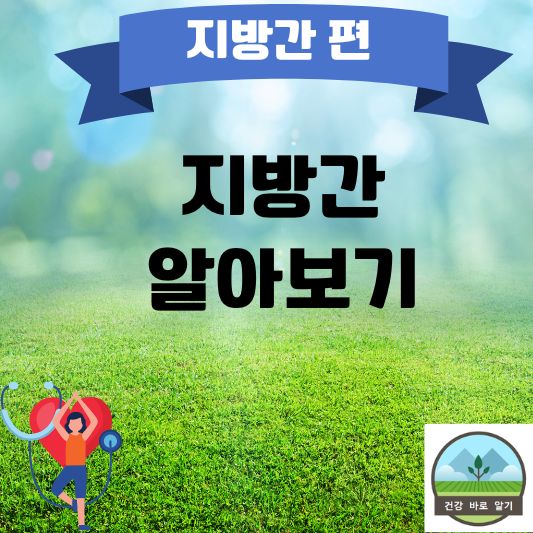  지방간 알아보기