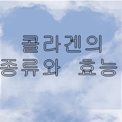  콜라겐의 종류와 효능