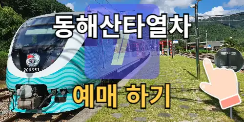 동해산타열차 예매, 가격, 특징, 오션뷰 좌석 총정리