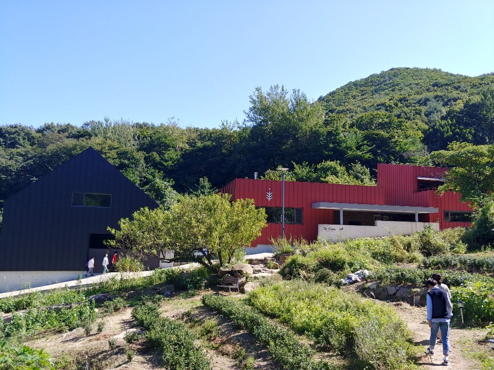  [부산여행] "더팜471" 테마카페 범어사에 가다.