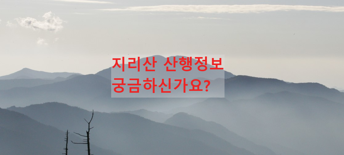 지리산의-아름다운-풍경