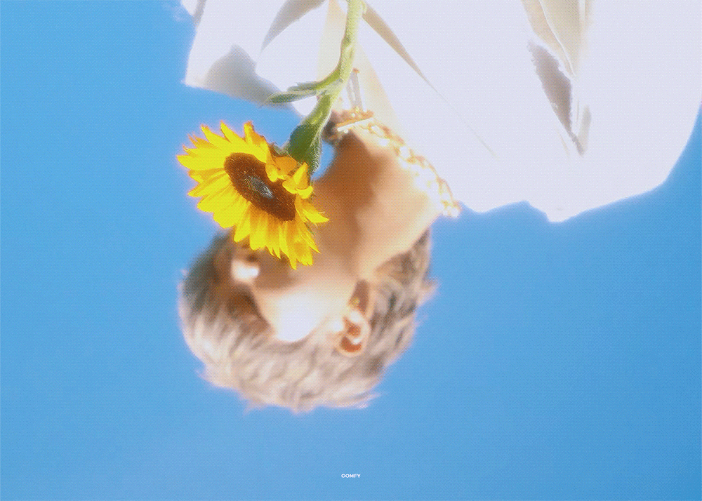 img.gif