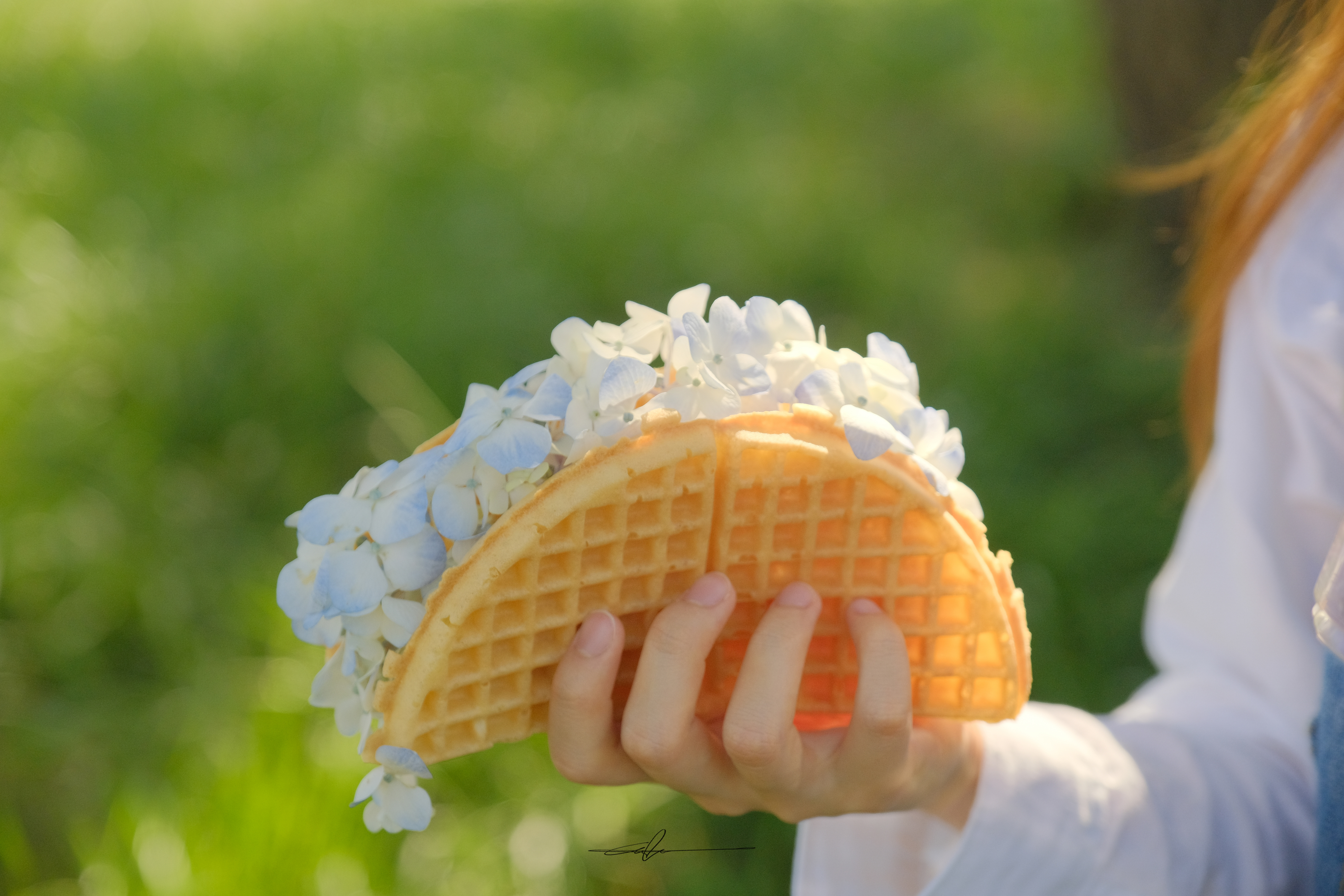  #b0c6eb_Wafflower_3