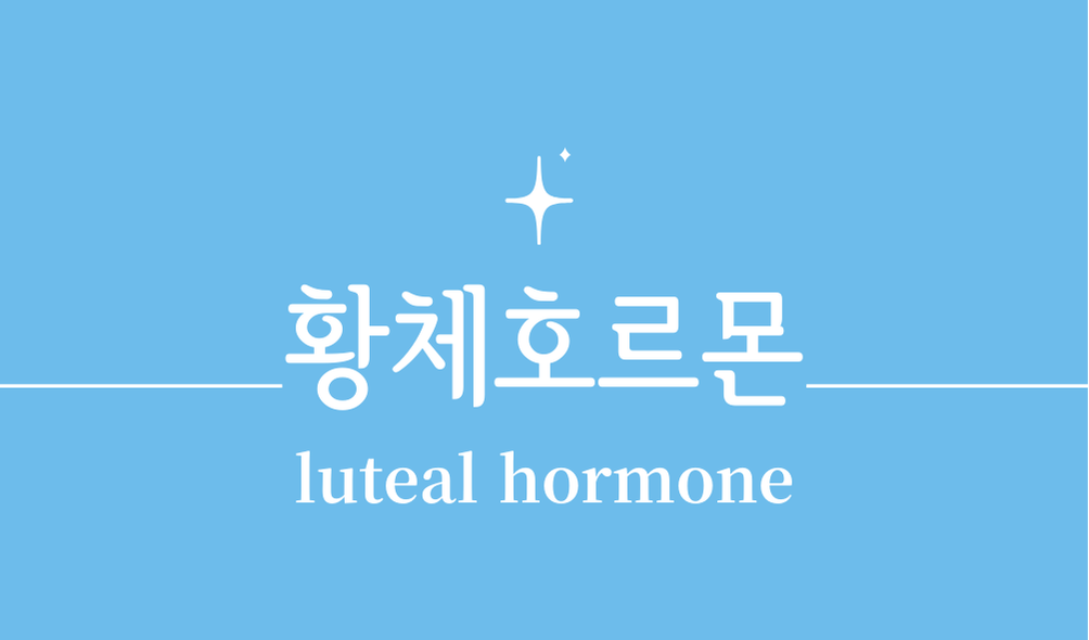 '황체호르몬(luteal hormone)'