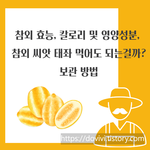 참외 효능&#44; 칼로리 및 영양성분&#44; 참외 씨앗 태좌 먹어도 되는걸까? 보관 방법