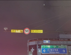 후면 단속 카메라