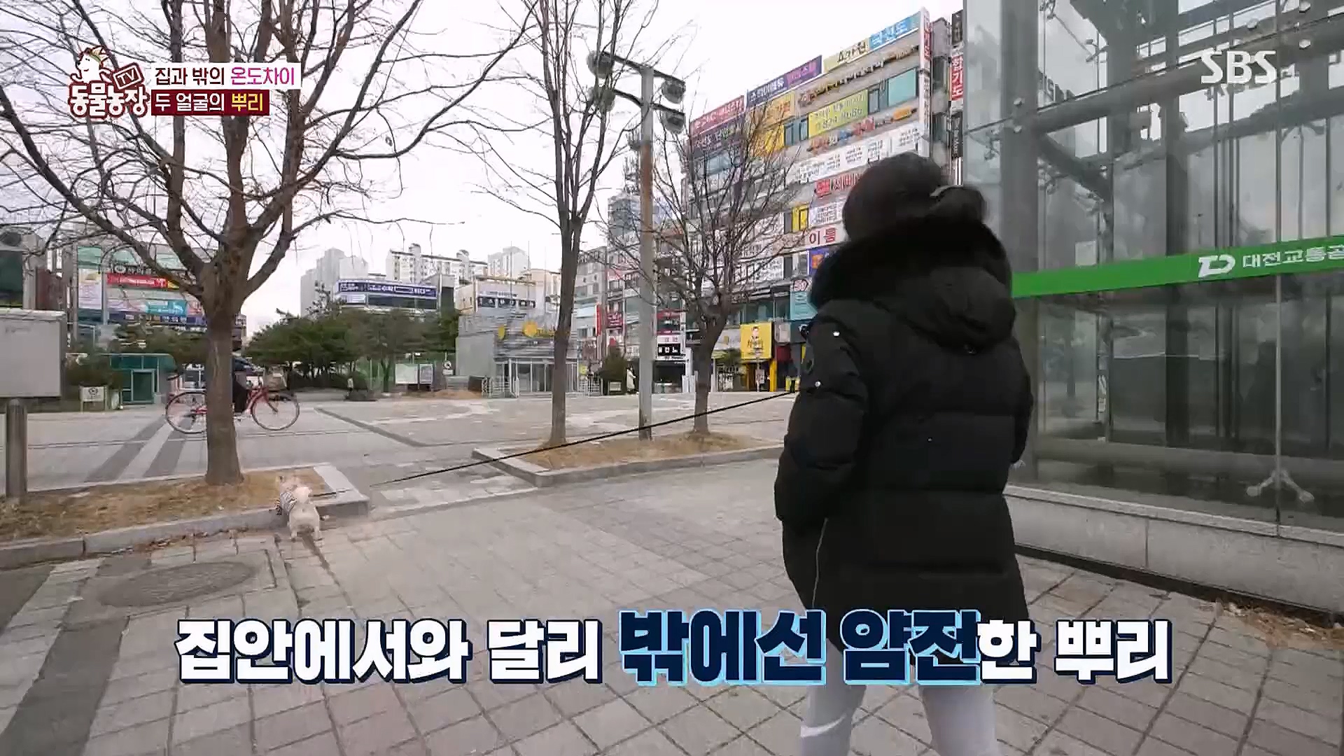 TV 동물농장.E1104.230115p.H264-F1RST.mp4_20230115_173200.326.jpg