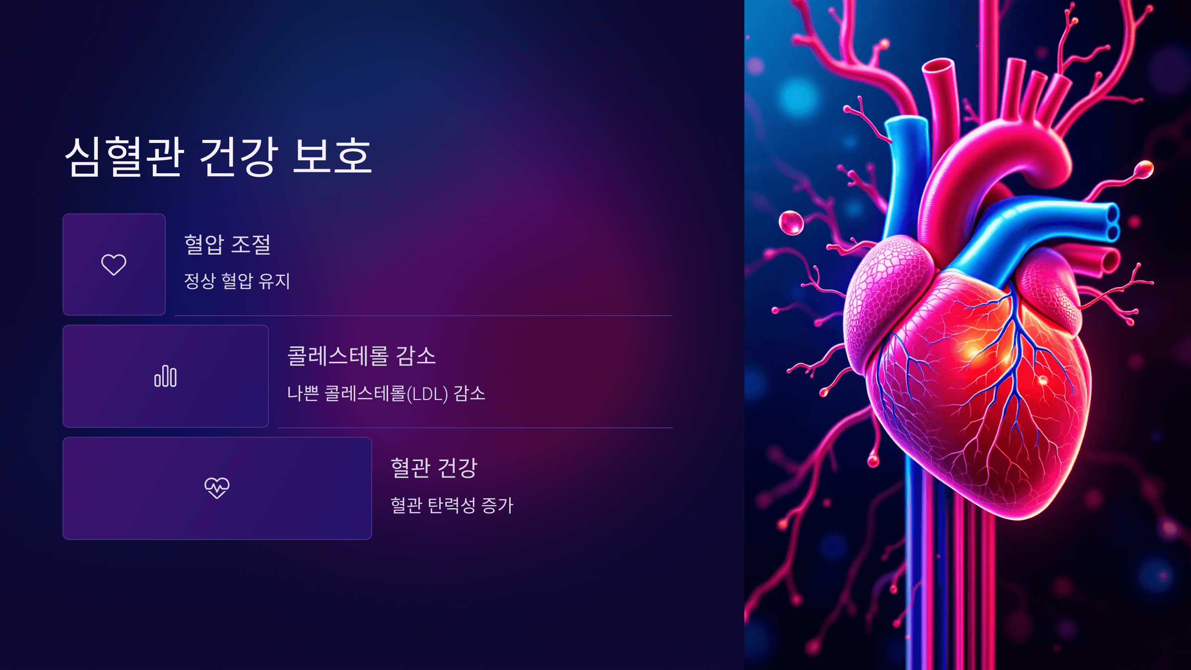 블루베리 사진입니다.