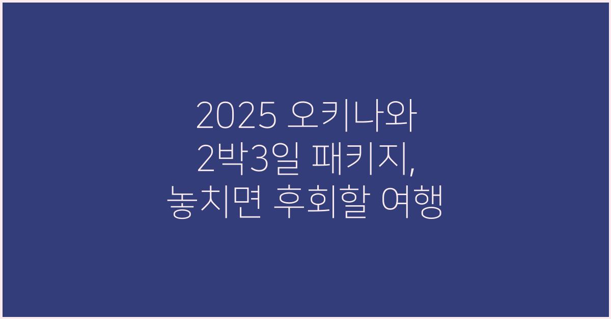 2025 오키나와 2박3일 패키지