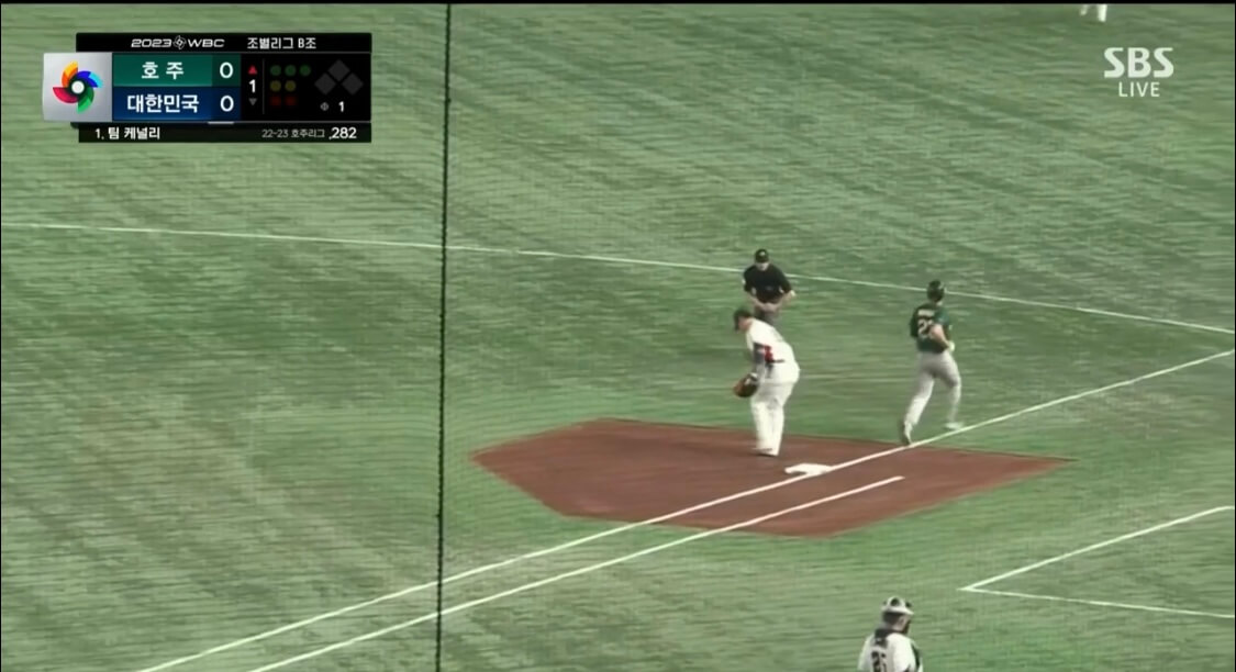 WBC 사례 수