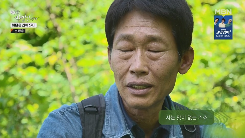 나는 자연인이다.E559.230621p.H264-F1RST.mp4_20230622_204022.817.jpg