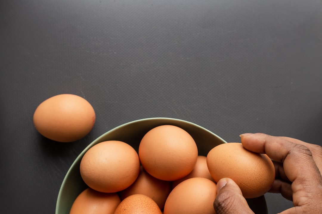 Egg