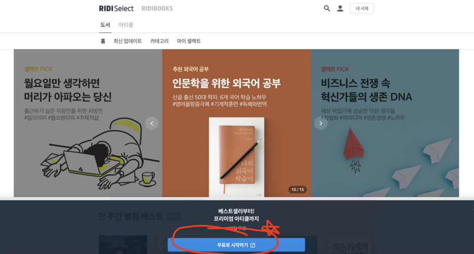 리드위나 이미지