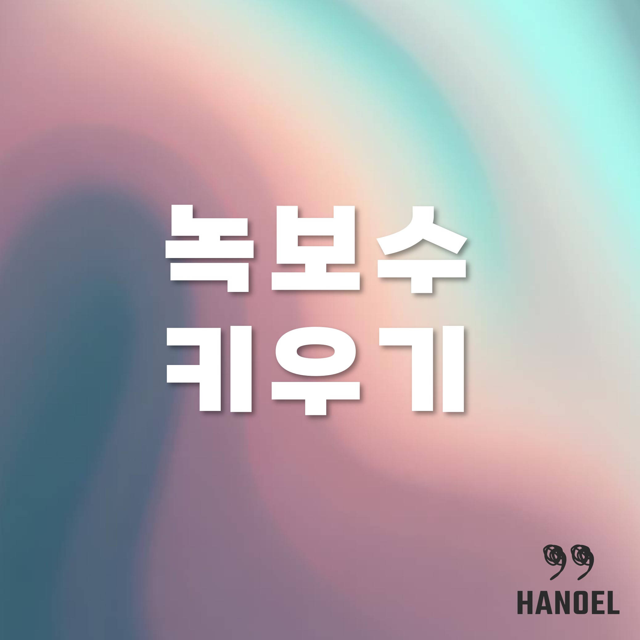 녹보수 키우기