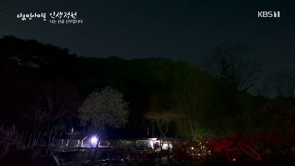 다큐 인사이트.E153.230608p.H264-F1RST.mp4_20230612_204538.348.jpg