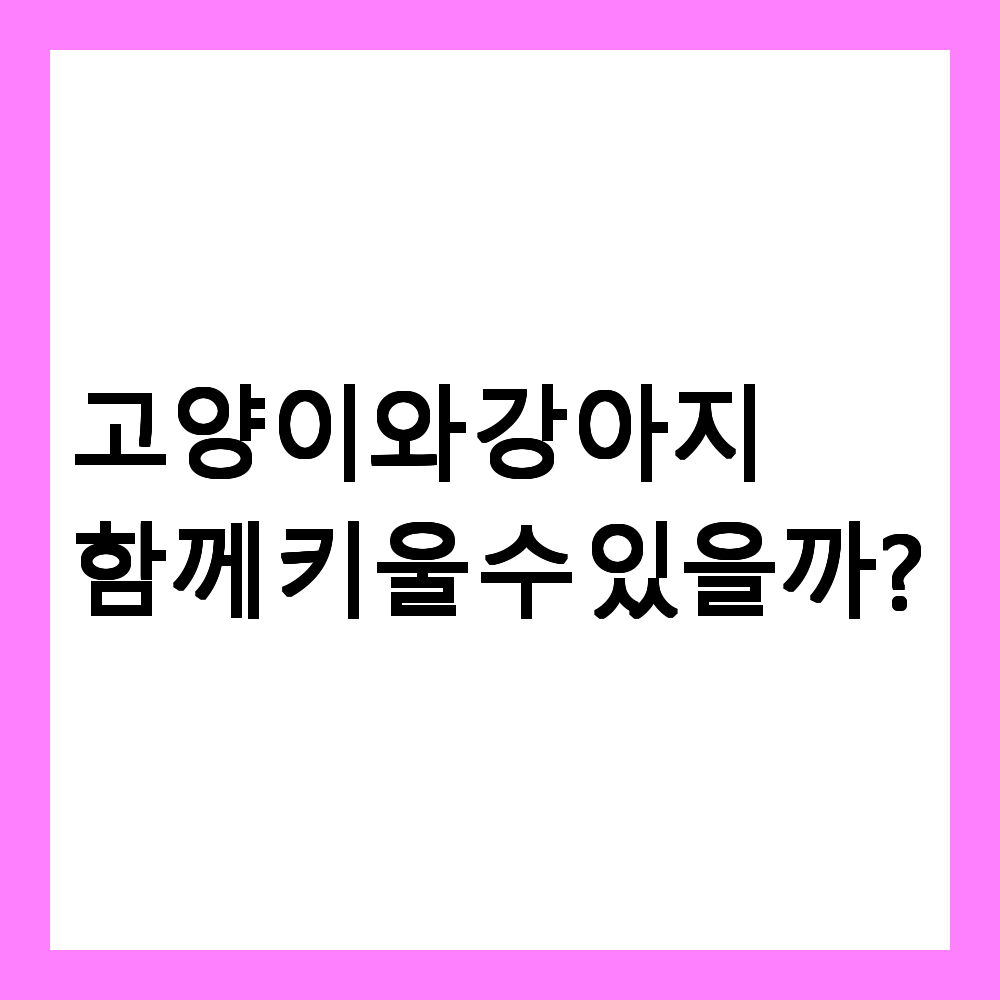 🐱🐶 고양이와 강아지를 함께 키울 수 있을까?