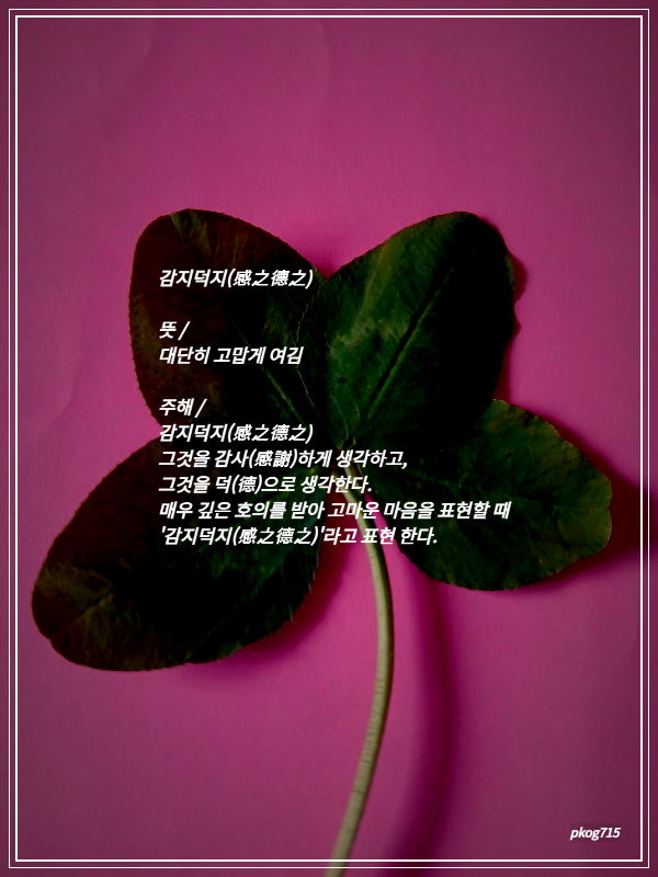 따뜻한하루에 이미지