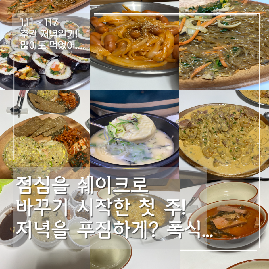  210111 ~ 210117 주간 저녁일기!