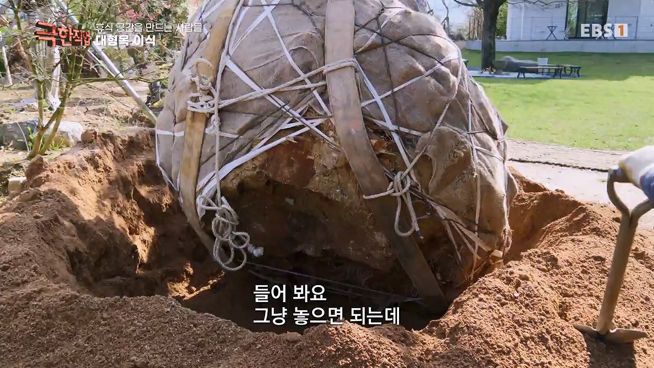 TV - 전 국민의 평생학교 EBS휴식공간을 만드는 사람들, 대형목 이식과 조경.mp4_20240518_160851.703.jpg