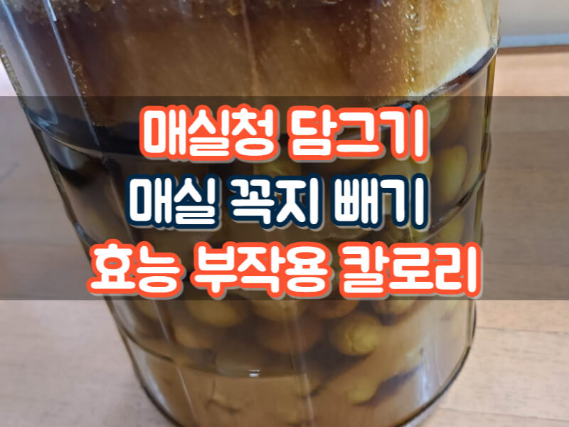 매실청 담그기 효능 매실꼭지 부작용 칼로리 총정리