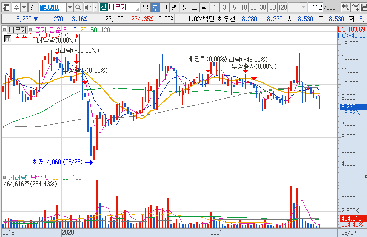 나무가-주가-흐름-차트