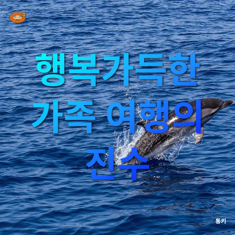 돌고래 관찰 투어_2