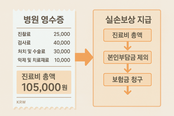 병원 영수증과 실손보험 청구 과정을 보여주는 따뜻한 인포그래픽