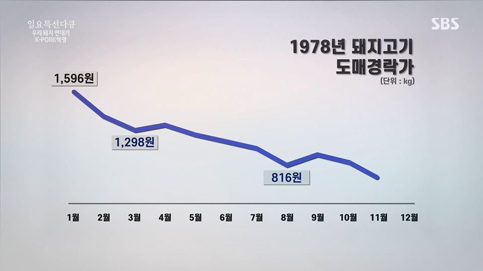 일요 특선 다큐멘터리.E315.230716p.H264-F1RST.mp4_20230717_210610.453.jpg