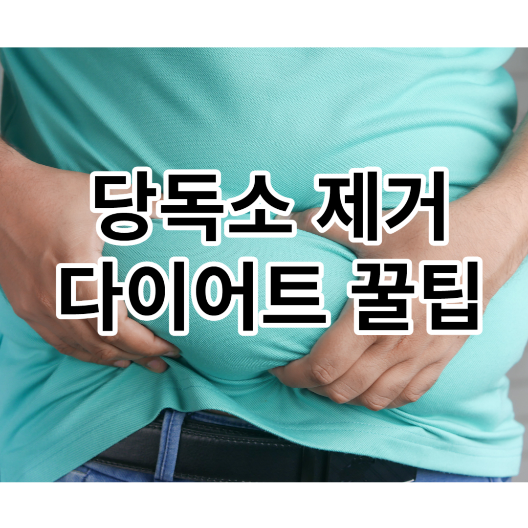 당독소-제거-다이어트-꿀팁-총정리