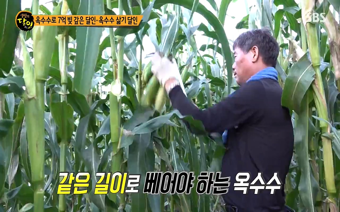 생활의 달인.E854.220802p-NEXT.mp4_20220802_200445.616.jpg