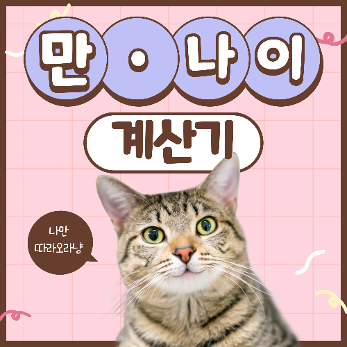  만 나이 계산기