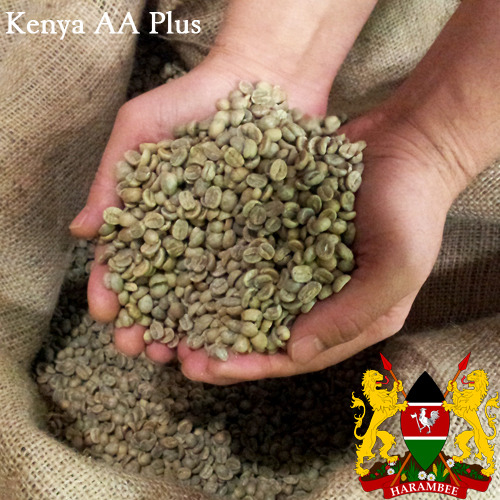 케냐 커피 특징