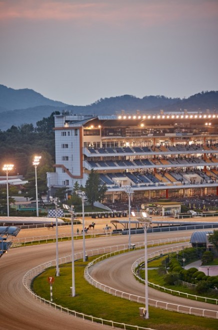 렛츠런 파크 서울 벚꽃 축제