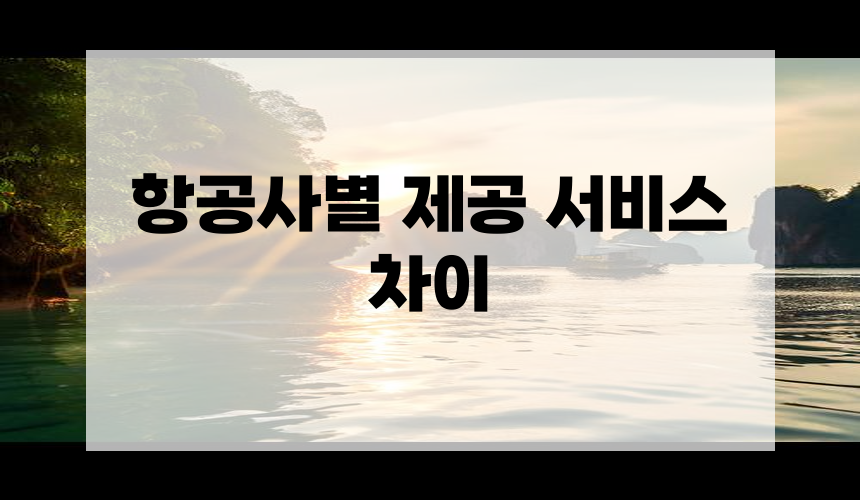 4. 항공사별 제공 서비스 차이