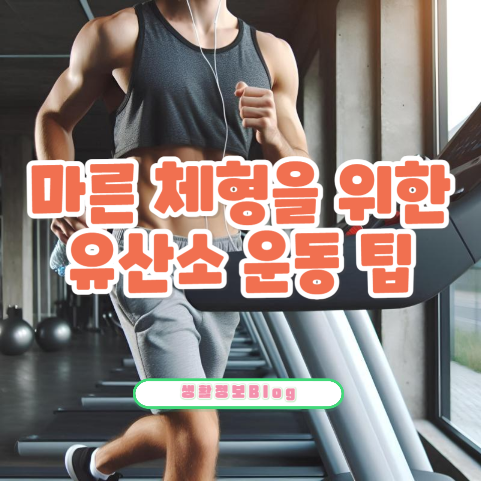 마른 체형을 위한 유산소 운동의 중요성과 팁