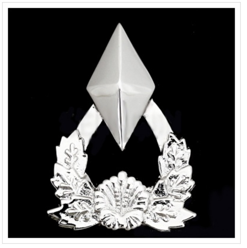 국군 계급장에 숨겨져있는 비밀 5