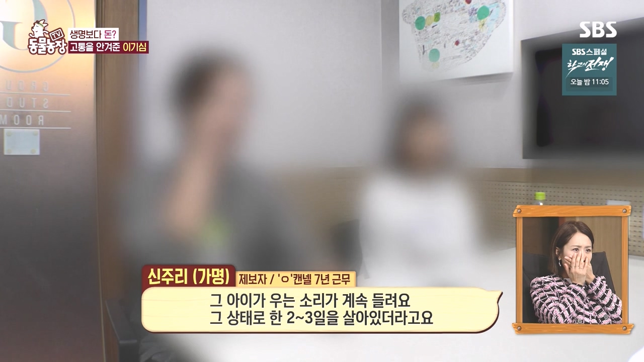 TV 동물농장.E1142.231023p-NEXT.mp4_20231022_173426.900.jpg
