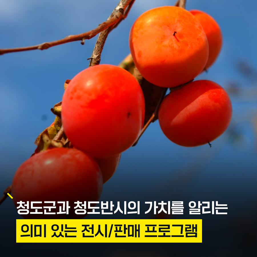  2023 청도 반시 축제 프로그램