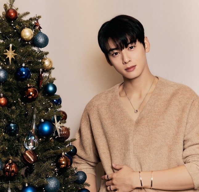 차은우-이미지