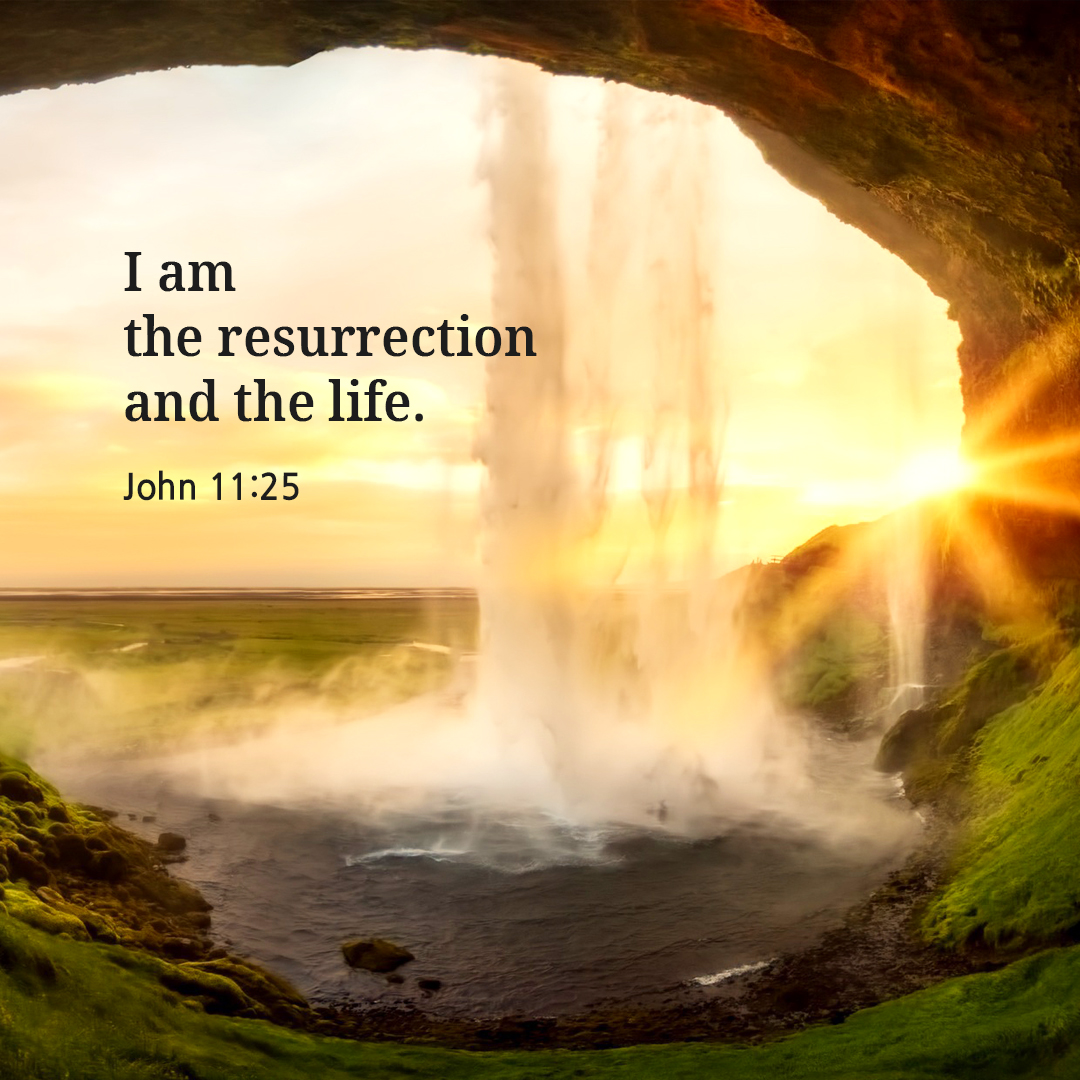 I am the resurrection and the life. (John 11:25)