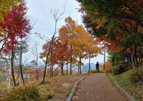 인왕산 등산 코스 추천 ❘ 독립문,경복궁역,홍제역 둘레길 ❘ 난이도,시간,지도 ❘ 주차장