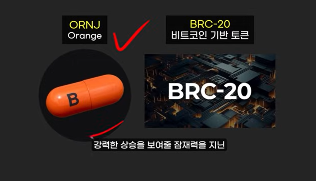 일론 머스크가 불러일으킨 밈코인 신드롬: 도지코인, Grok, Optimus, Orange 코인 분석