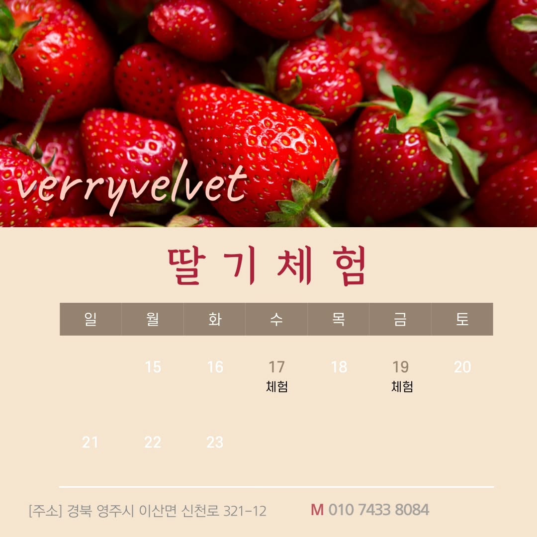 딸기 따기 체험