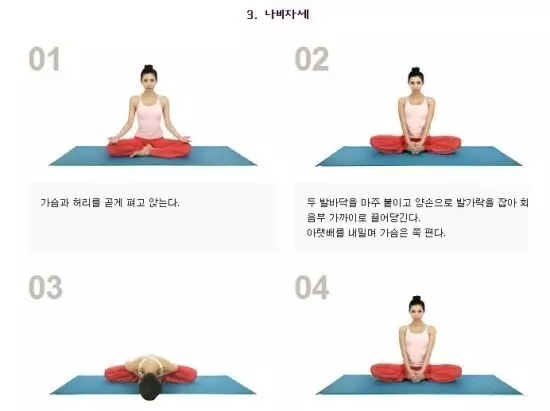 나비 자세