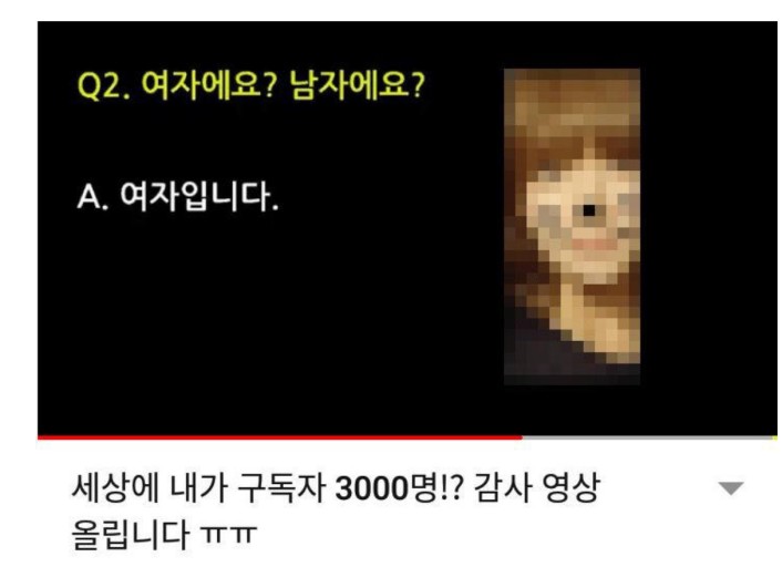  개구릿대 유튜버 논란 정리